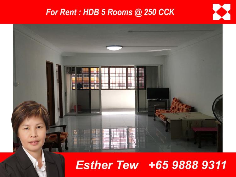 Blk 250 Choa Chu Kang Avenue 2 (Choa Chu Kang), HDB 5 Rooms #119598742